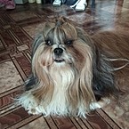 Елена Латыпова