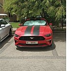 елизавета срубилина