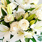 Карина Кругляк